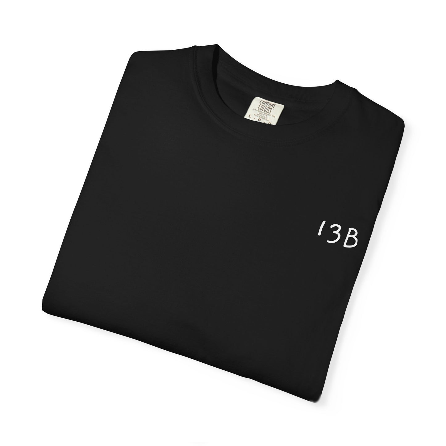 ЯEDLEG 13B